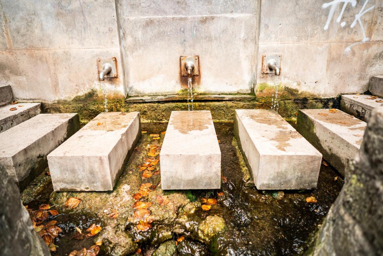 ホテルDreibrunnen Gastehaus Im Luisenpark エアフルト エクステリア 写真