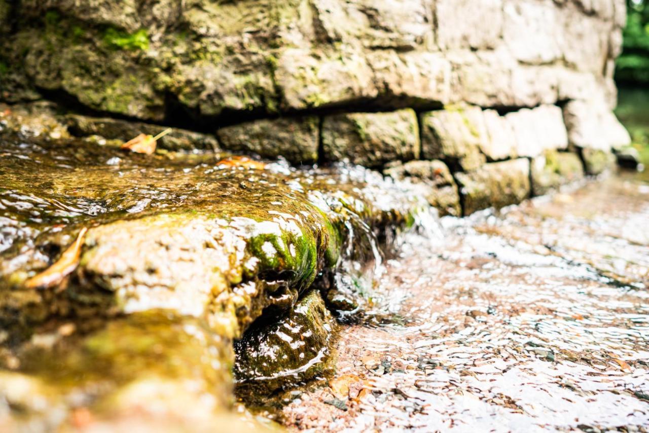 ホテルDreibrunnen Gastehaus Im Luisenpark エアフルト エクステリア 写真