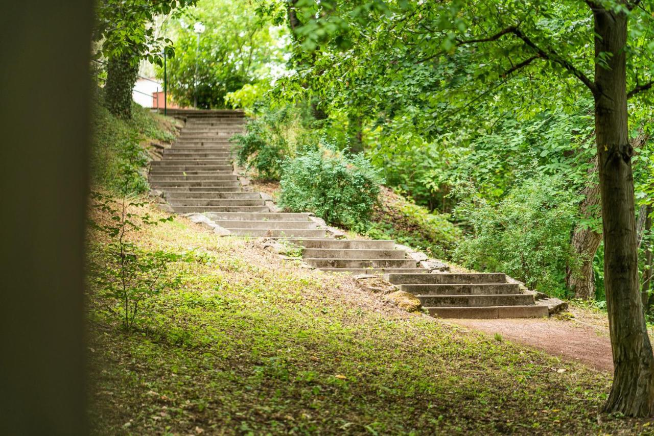 ホテルDreibrunnen Gastehaus Im Luisenpark エアフルト エクステリア 写真